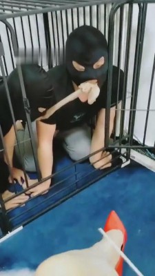 图片[2]_【魔鬼天使绳艺导师】双狗争宠实录 bf8069_HD绳艺资源