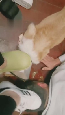 图片[5]_【西西小主】二狗挑战犬化奴役 bf5121_HD绳艺资源