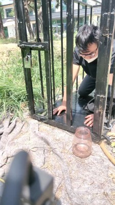 【沅芷大人】关狗笼圈养犬化-手铐绳艺技巧/高跟踩踏 bf28263_HD绳艺资源