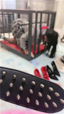 图片[2]_【狠欣人】狗笼圈养囚禁发骚母畜【上】_HD绳艺资源