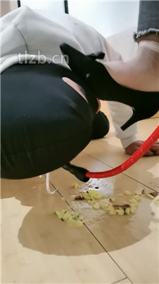 图片[10]_【大美】脏鞋底踩踏喂食/肉丝脚闻舔/狗链拴狗_HD绳艺资源