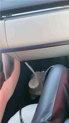 图片[7]_【歌迪丝】户外餐厅-喝圣水/吃脏鞋底_HD绳艺资源