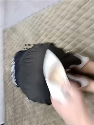 【英英】肉丝脚恋足舔/转胯狗爬/揪耳朵 JS240826-13_HD绳艺资源