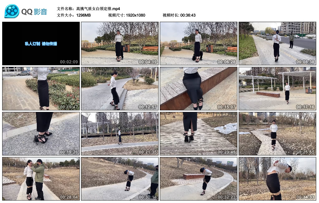 高挑气质女白领定排_HD绳艺资源