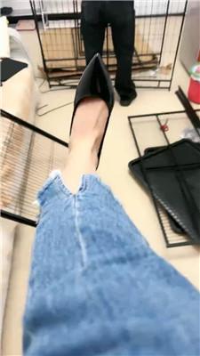 【佳佳】组装狗笼奖励粉鞋白袜踩踏 JS241108-22_HD绳艺资源