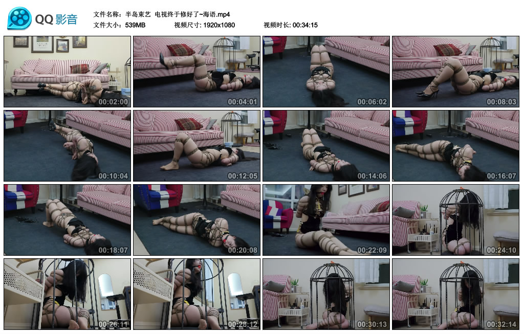 【半岛束艺】  电视终于修好了~海语_HD绳艺资源