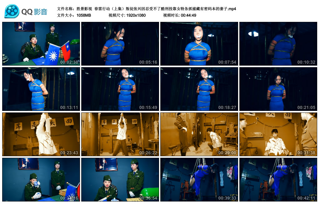 【胜景影视】 春雷行动（上集）_HD绳艺资源