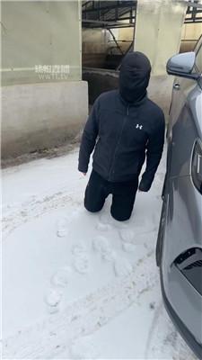 77夫妻 冰天雪地训人形犬 JS251219-1_HD绳艺资源