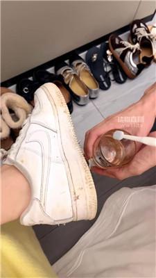 七七小主 强迫狗清理多双脏鞋 JS251218-35_HD绳艺资源
