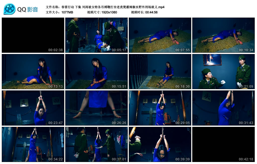 【胜景影视】 春雷行动 下集_HD绳艺资源