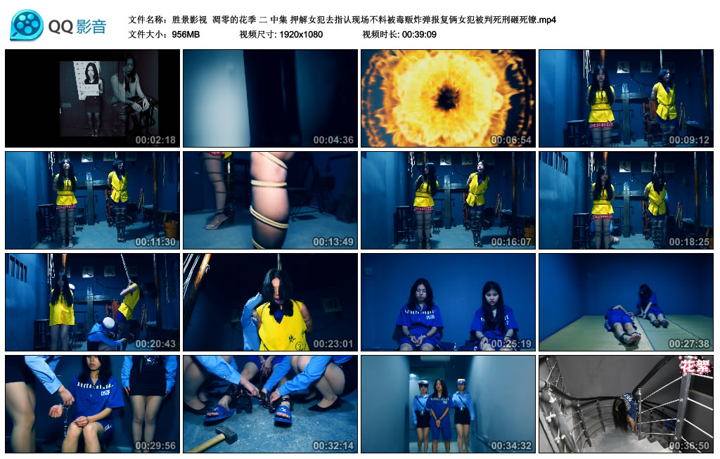 【胜景影视】凋零的花季 二 中集_HD绳艺资源