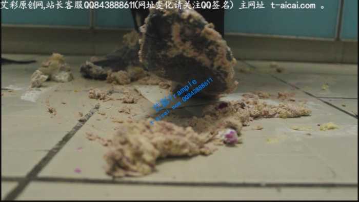 图片[5]_哚儿为贱奴制作的美味蛋糕狗粮（侮辱，强迫，特写）YC-190622-4_HD绳艺资源